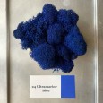 Стабилизированный мох ягель 24 Ultramarine Blue