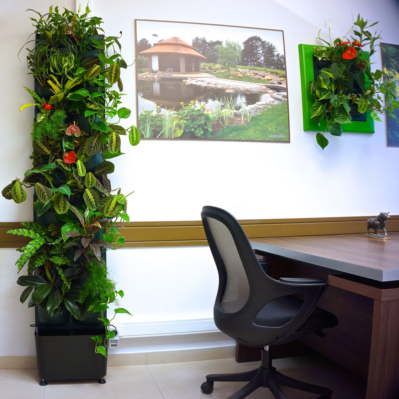 Система вертикального озеленения - лучшее решение для озеленения офисов