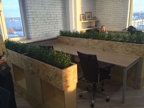 Как выбрать растения для офиса
