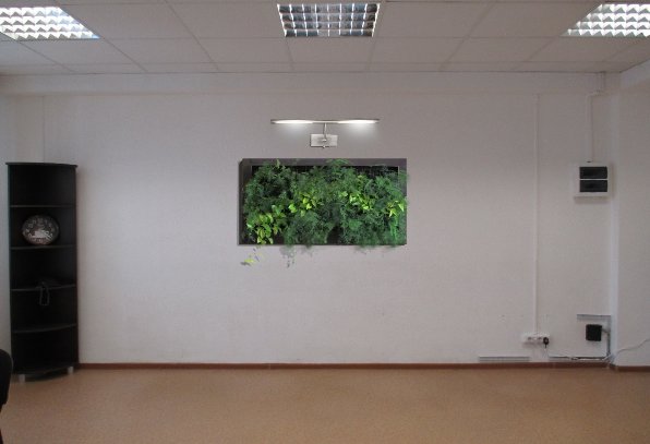 Фитокартина в офисе - вертикальное озеленение
