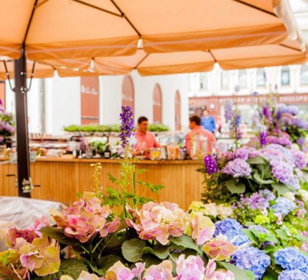 Оформление ресторана цветущими растениями